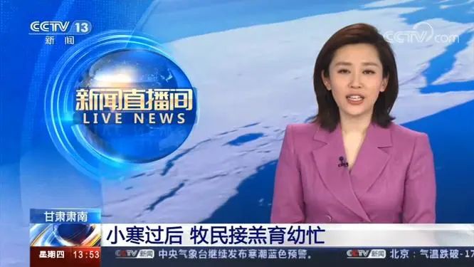 上报的新闻《小寒过后 牧民接羔育幼忙》登上央视cctv13新闻频道