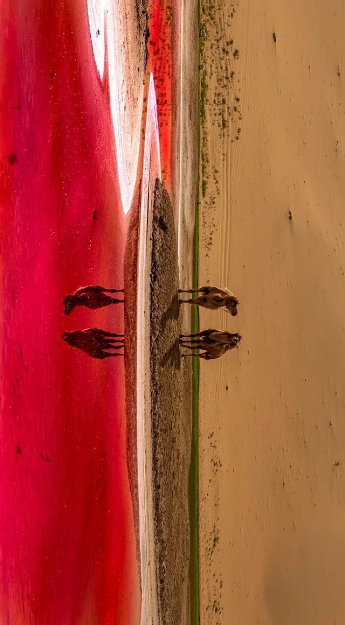 巴丹吉林沙漠的红海子美得令人心醉