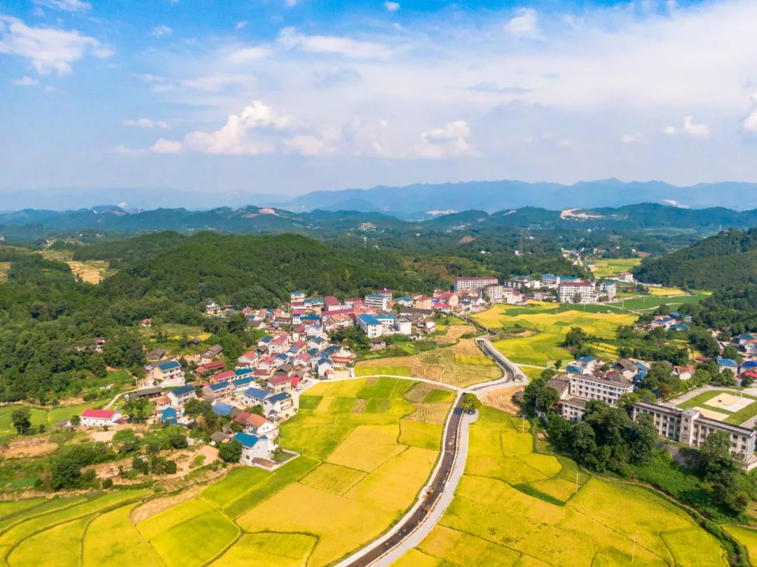 干货推进乡村人才振兴这么干