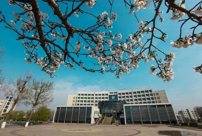 "单招综招"系列发布 | 淄博职业学院