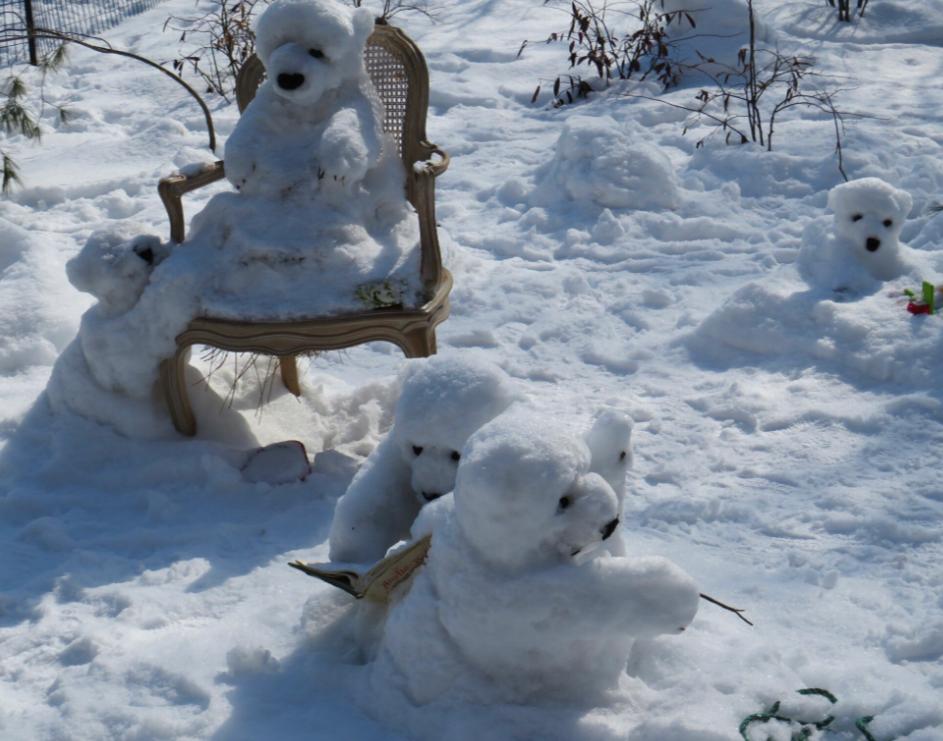 纽约有个可怕的艺术家,在中央公园堆了一群可爱的雪熊