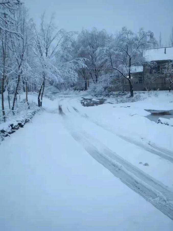 地面上有了厚厚的积雪 一片银装素裹潍坊各地降雪实景图 刷爆微信群