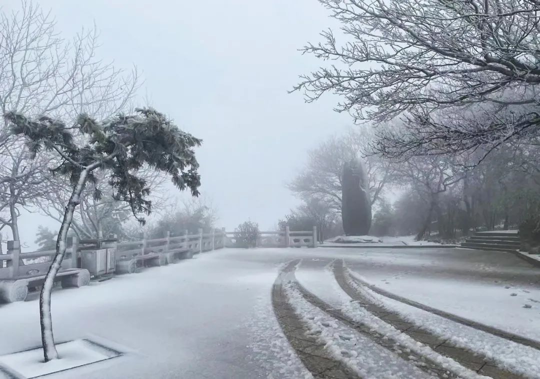 下雪啦! 据花果山风景区消息 今天 花果山迎来了降雪!