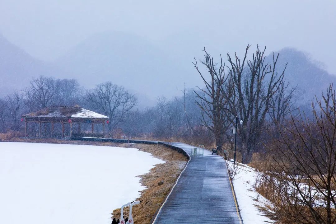 惠游湖北摄影作品大九湖雪景