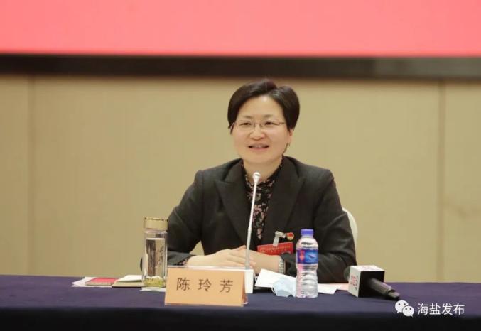 陈玲芳参加人大第一代表团武原街道审议积极展现中心城区街道主体作为