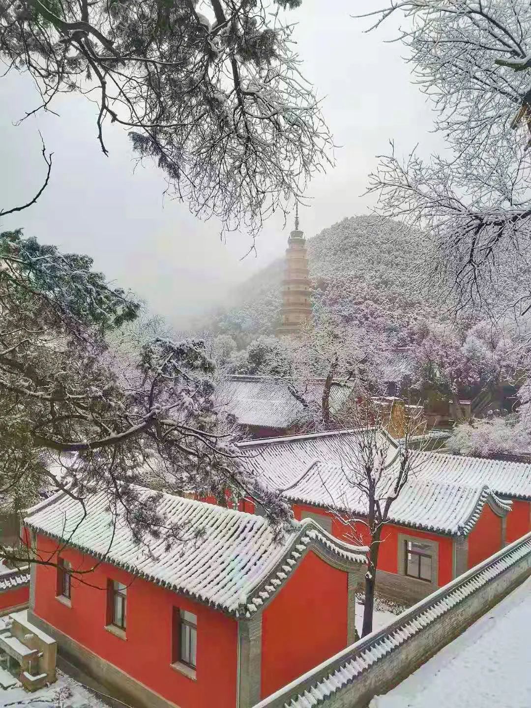 美到犯规,一步一景,济南几处古风雪景地,第一眼就让人