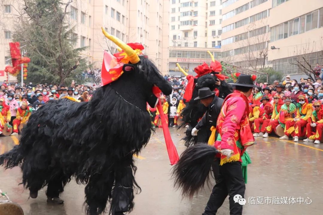 舞狮舞牛齐上阵扭起秧歌闹新春