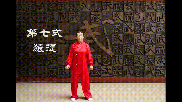 春天来了,健身气功五禽戏助你元气满满!