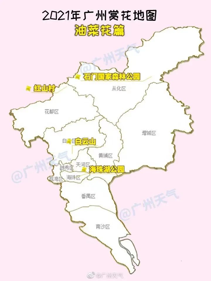 广州我粉你