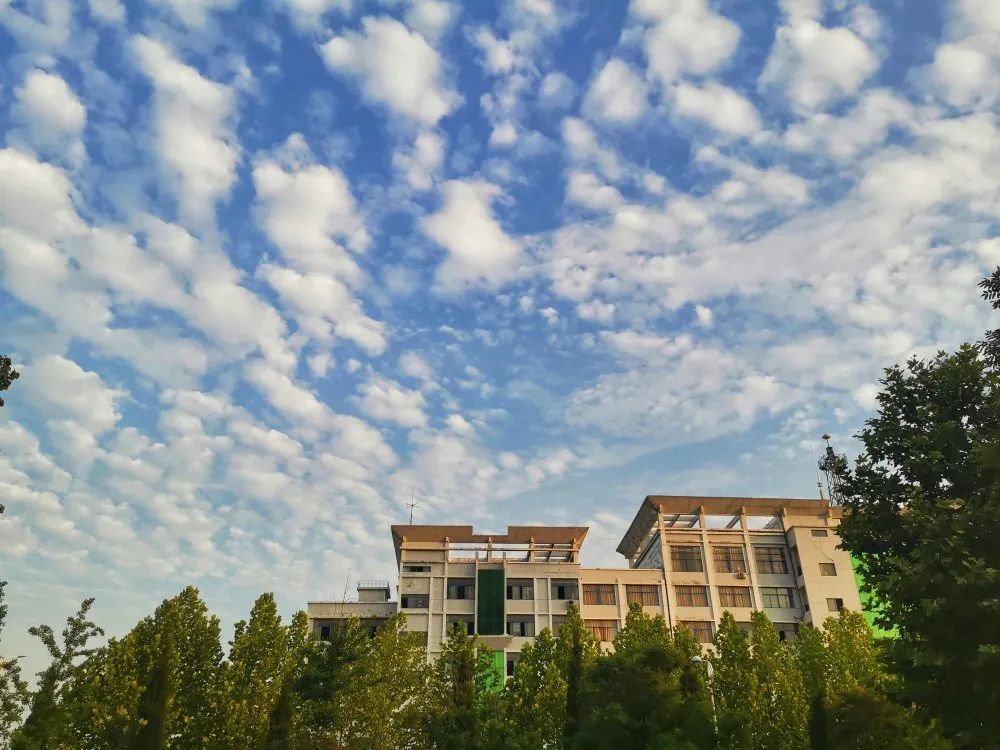 "单招·综招"系列发布 | 枣庄科技职业学院
