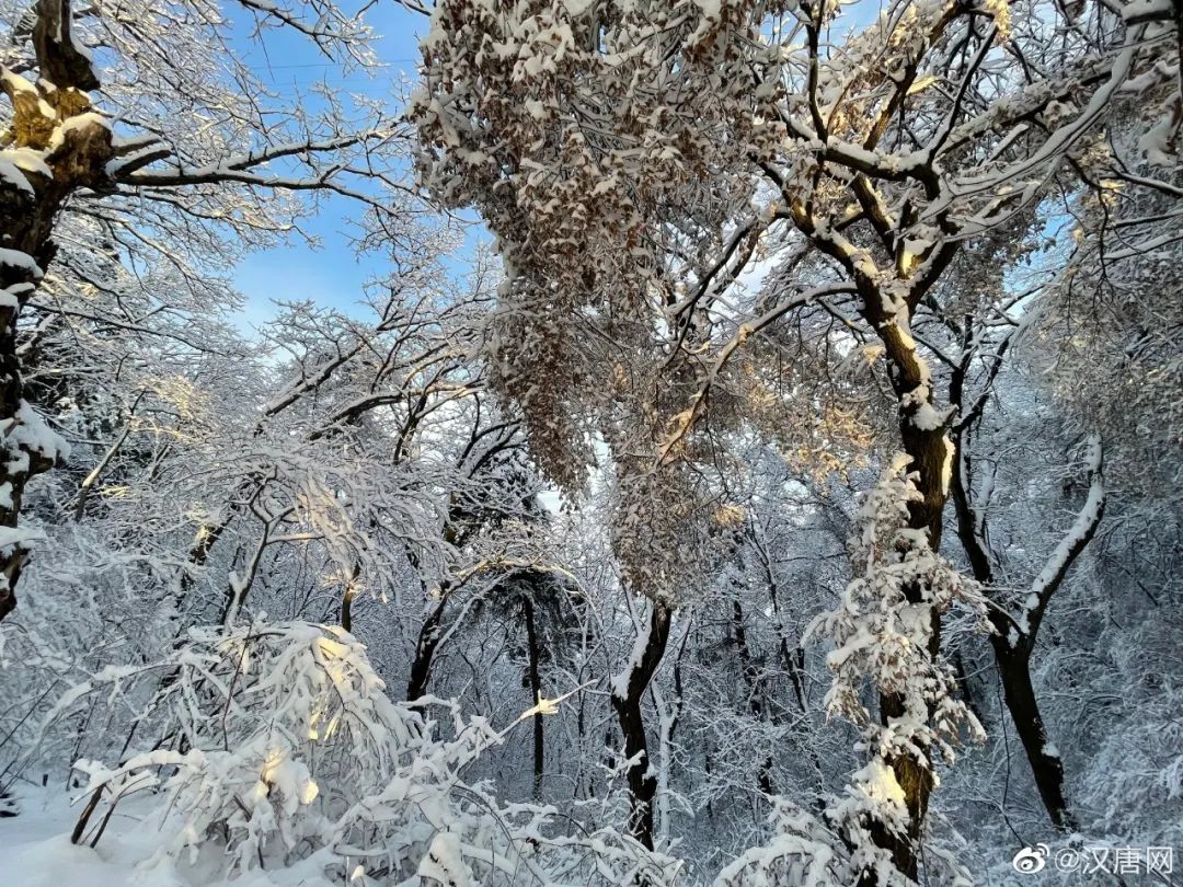 西安发布 秦岭终南山迎来一场春雪 雪后的终南山宛如仙境 南五台景区