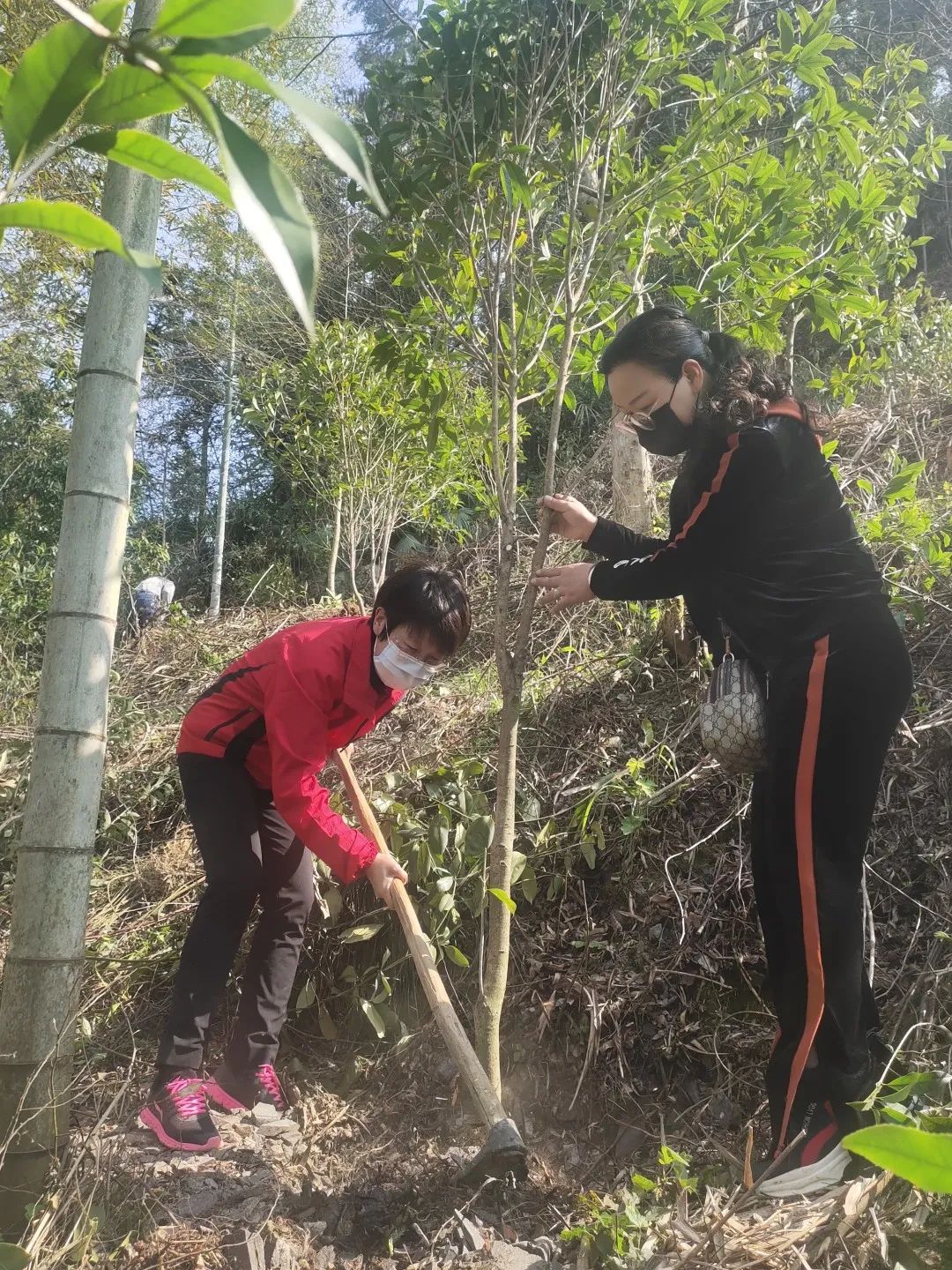 我和我的民盟民盟之光伴我一路芬芳