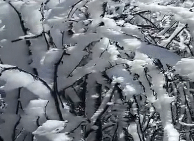 3月,杭州这地方下雪了!刚刚,霜冻蓝色预警!明天气温更