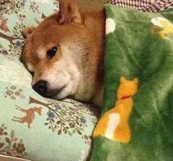 3月14日宜领证？玉林市民政局回应……网友纷纷叫好（最新发布）