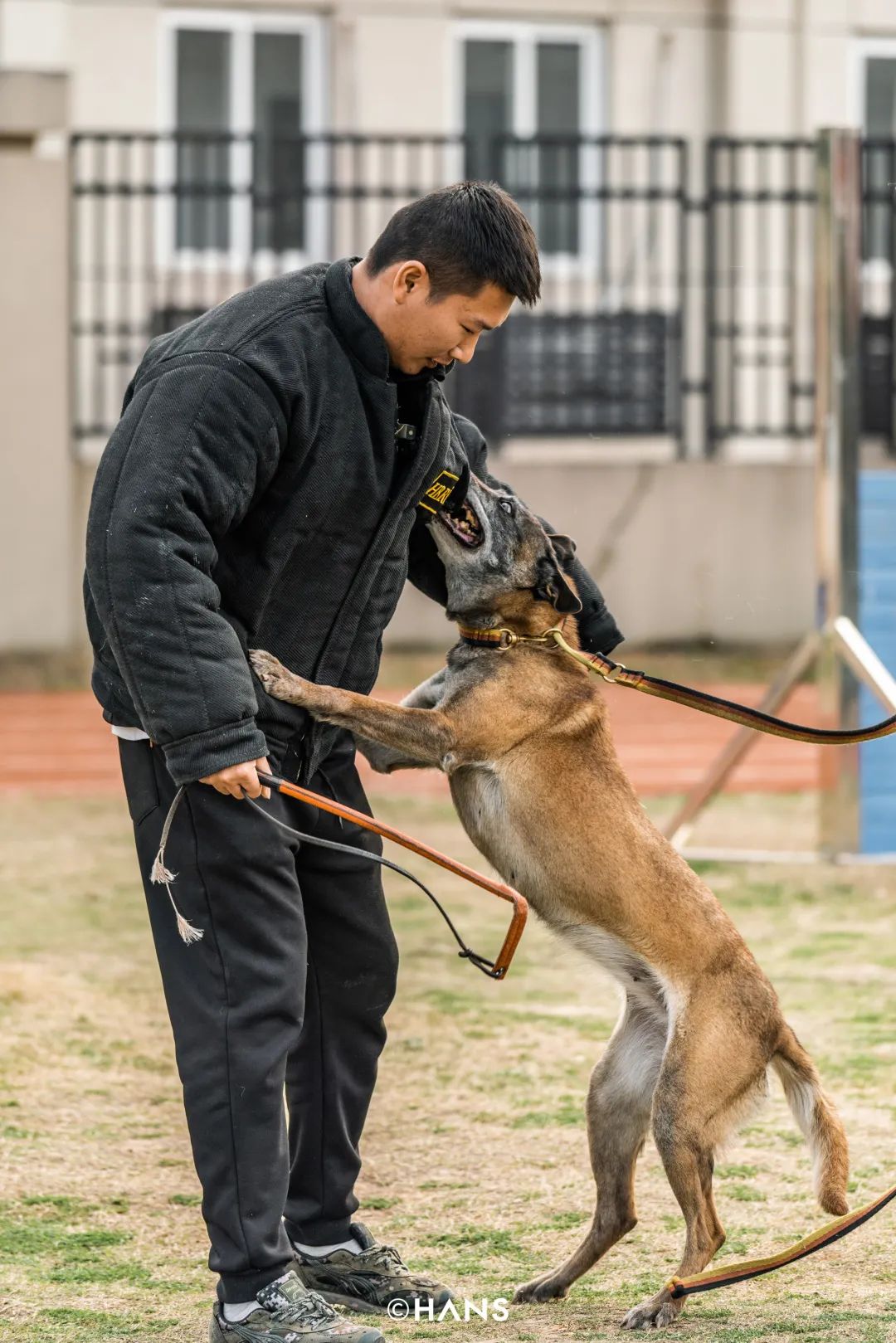 按时下班包吃住包养老我说的武汉警犬