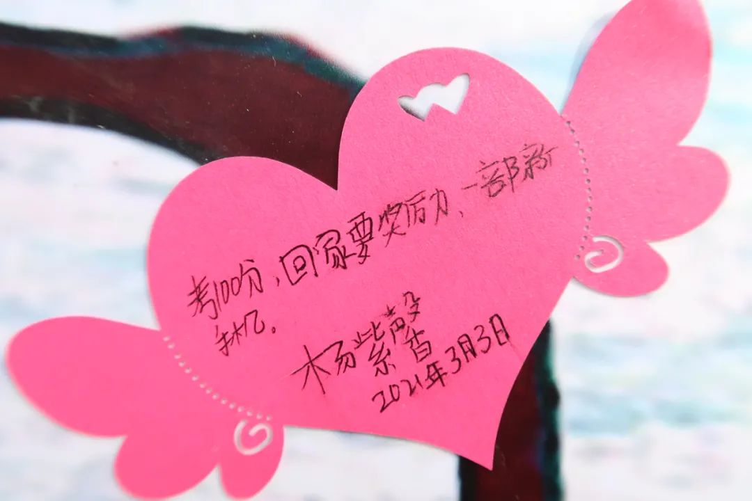 爱育春风 共植"爱心树" ——襄阳市妇联举办2021年"向阳花"爱心妈妈护