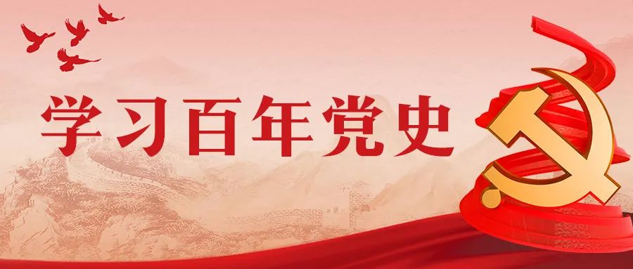 学习百年党史纪录片党史故事100讲第2讲