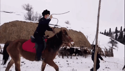 策马奔腾!新疆执行干警带着国徽跋涉雪原