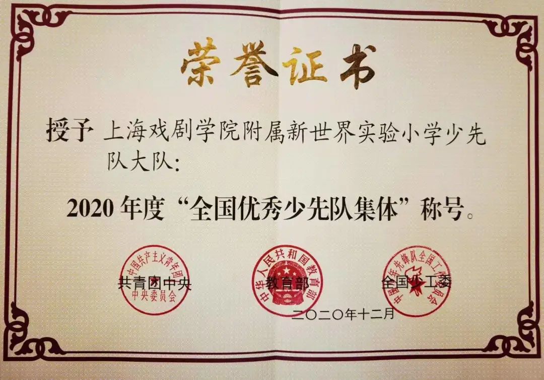 浦东这些师生和集体喜获少先队最高荣誉