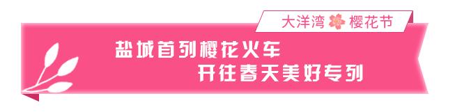 藏不住了！盐城这片樱花海，即将惊艳绽放……（最新发布）