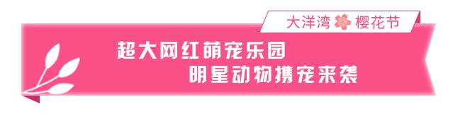 藏不住了！盐城这片樱花海，即将惊艳绽放……（最新发布）