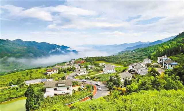 重庆举行第二场两会专题云记者会,代表委员聚焦全面实施乡村振兴战略