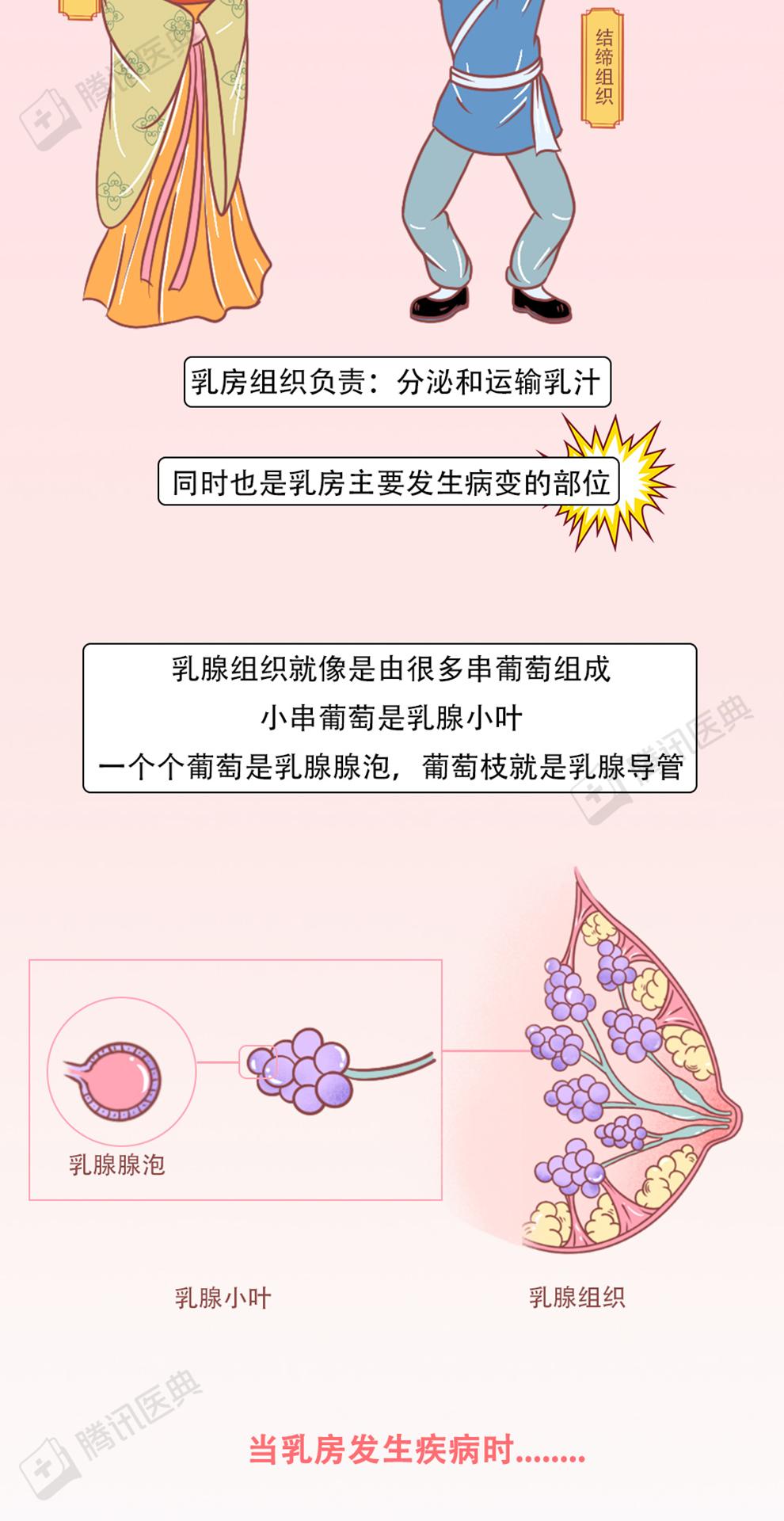 乳腺保养的5个秘密, 你以前可能搞错了