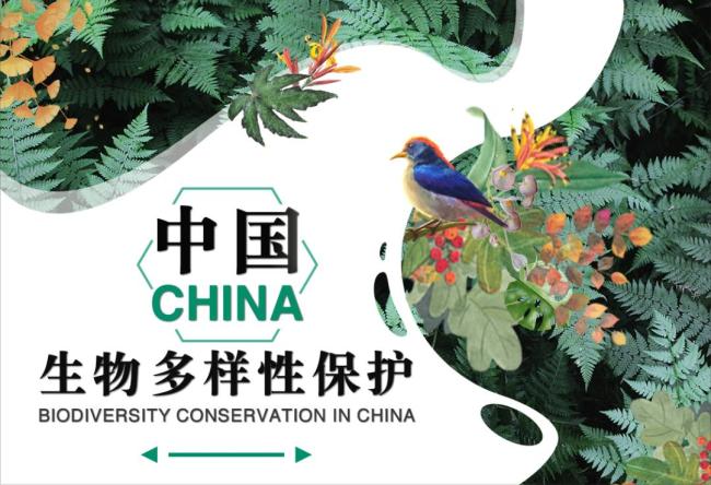 中国生物多样性保护上海林业篇