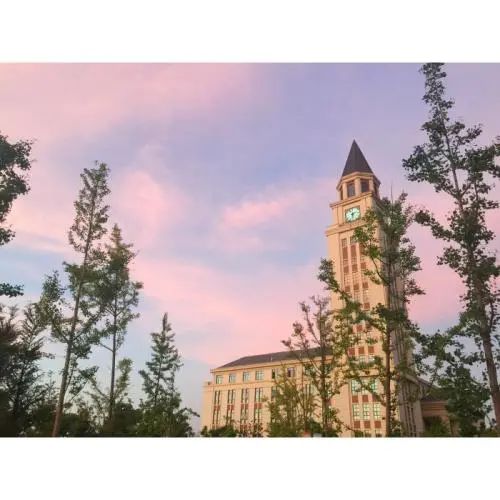 金山这所大学正在招生！（最新发布）