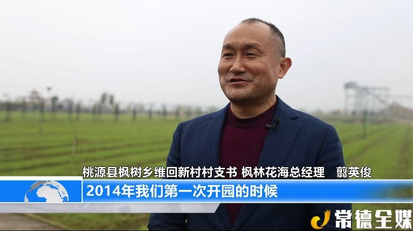 【沅澧百镇千村行】桃源县枫树乡:农旅融合 走出乡村振兴新路子