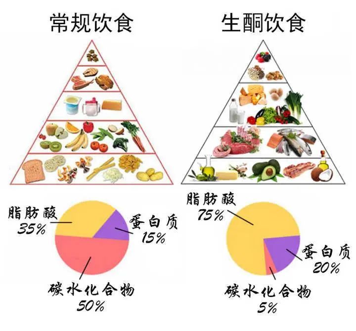 大口吃肉一月瘦10斤?生酮减肥的危害你得知道