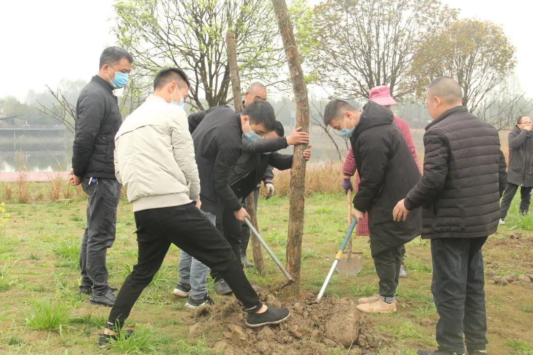 黑石河国家森林公园生态修复教育成都基地正开展一次特殊的植树节活动