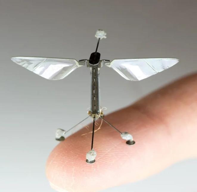 敏捷如黄蜂mit华人助理教授造出厘米级类昆虫机器人