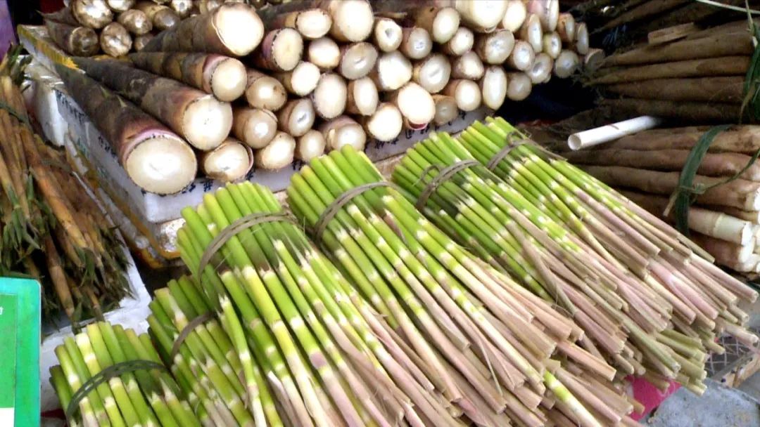 丰富的竹子种类造就了多样的竹笋 苦笋,甜笋,文笋,大竹笋等 一直是
