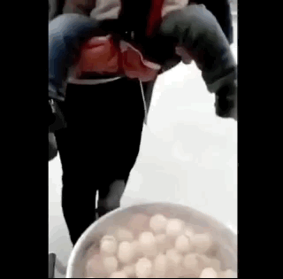 每一颗鸡蛋都后悔来到浙江东阳