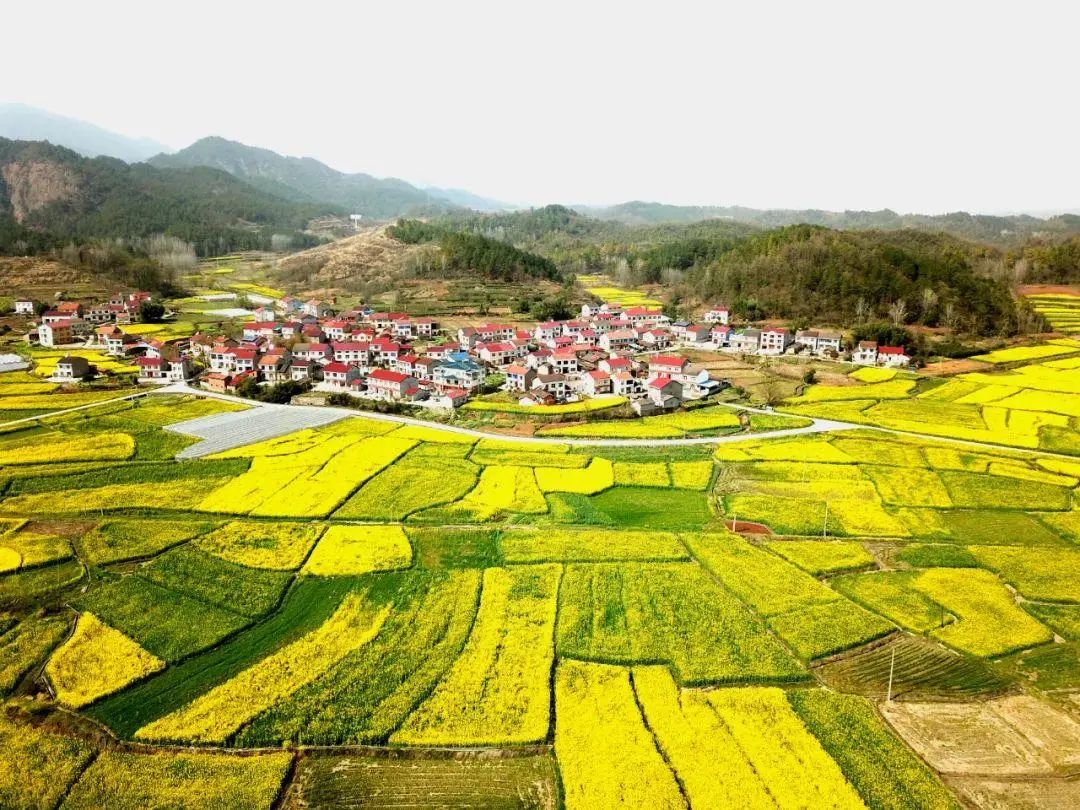 71赏花点:远安县旧县镇观东村,远安县洋坪镇回龙湾景区,远安县鸣凤