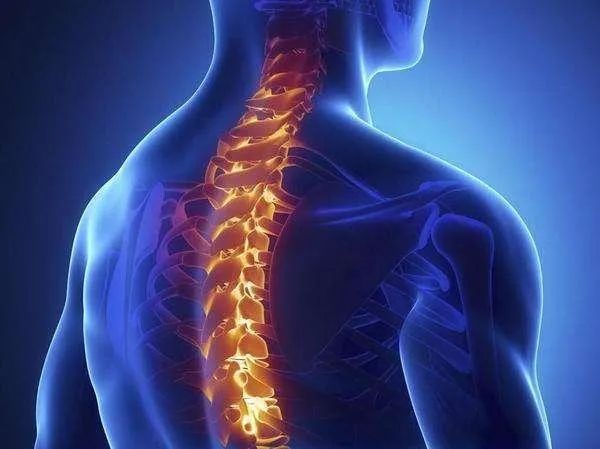 脊髓损伤的逆转,从修复轴突损伤开始