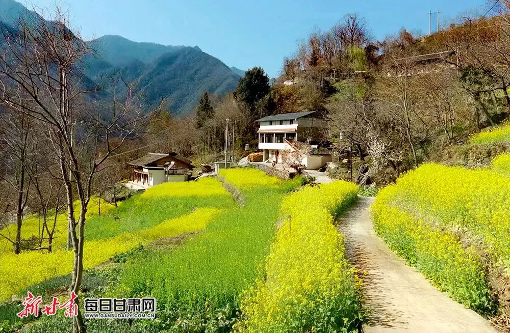 与碧水交相辉映各色花卉树木,田园,房屋春日的碧口见证着暗藏的顽