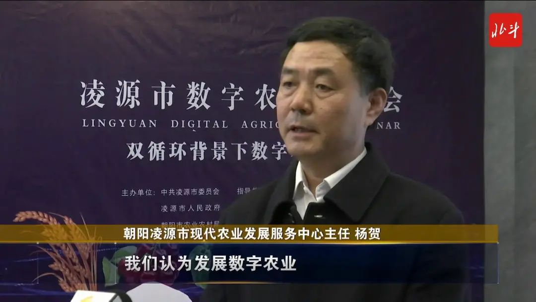 凌源市现代农业发展服务中心主任 杨贺我们认为发展数字农业是推动