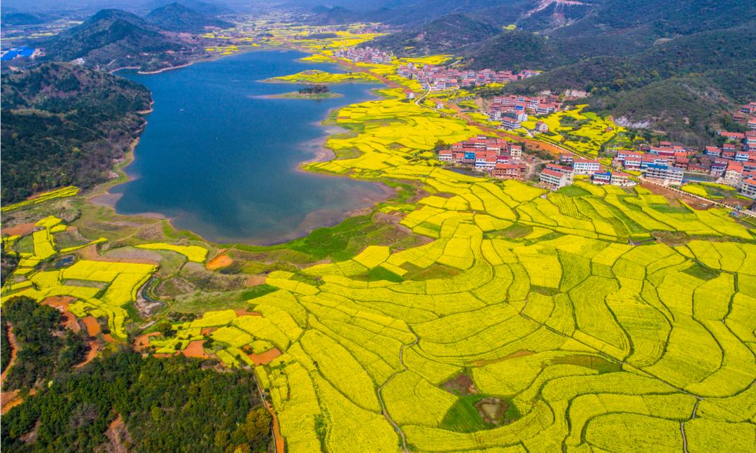 【黄冈发布】花开黄冈,最全"赏花景点"邀您打卡.