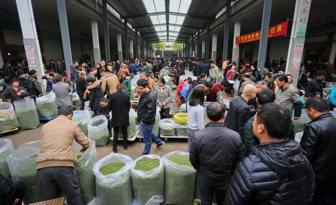 第十四届中国(国际)茶商大会松阳香茶茶叶节将于3月27日开启