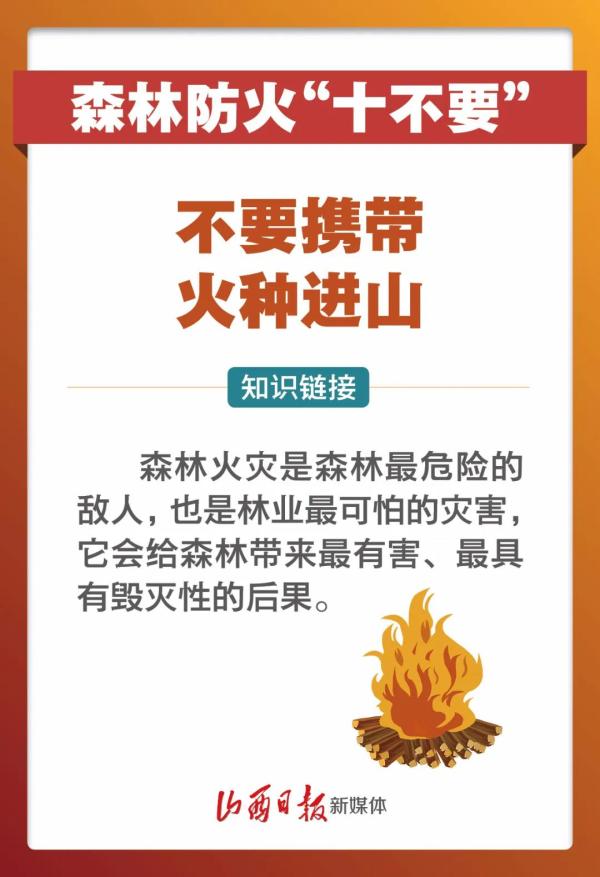 痛心!宁夏一林场发生火情致2死6伤 原因查明!(最新发布)