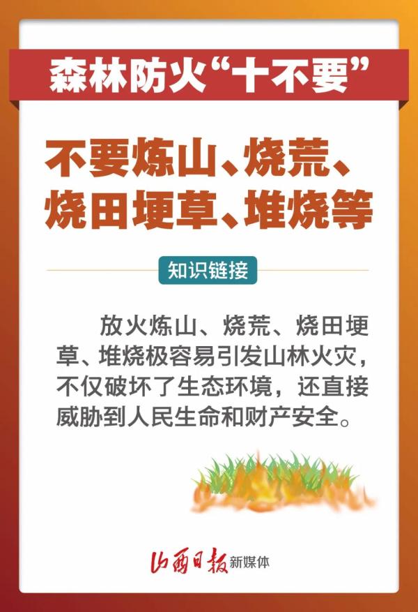 痛心!宁夏一林场发生火情致2死6伤 原因查明!(最新发布)
