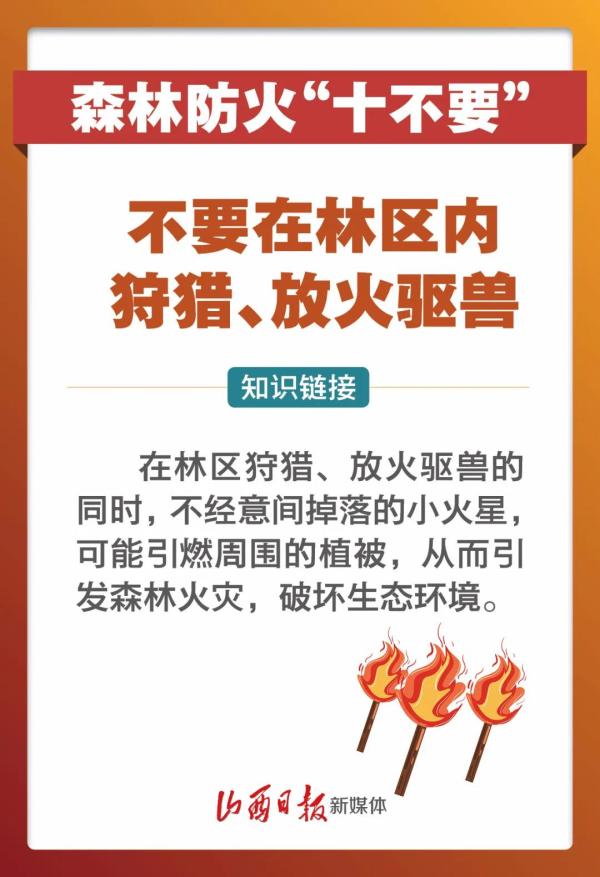 痛心!宁夏一林场发生火情致2死6伤 原因查明!(最新发布)