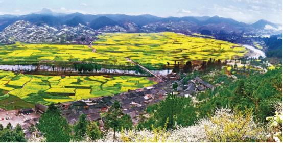 乡游黔中相约贵定红旗村邂逅金海雪山的限定春景