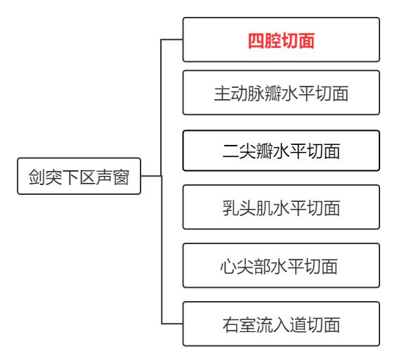 3心尖四腔心切面心尖三腔心切面二维超声2.2心尖