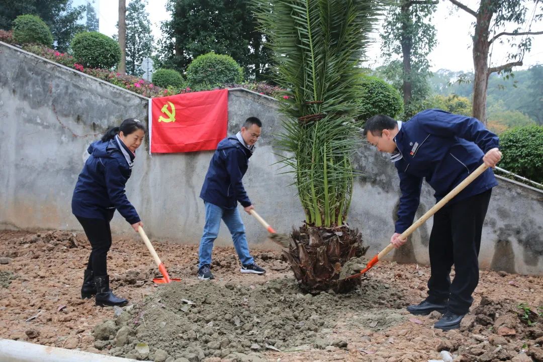 组织主题党日植树活动,党员干部"认领"树苗,在划定区域种下希望.