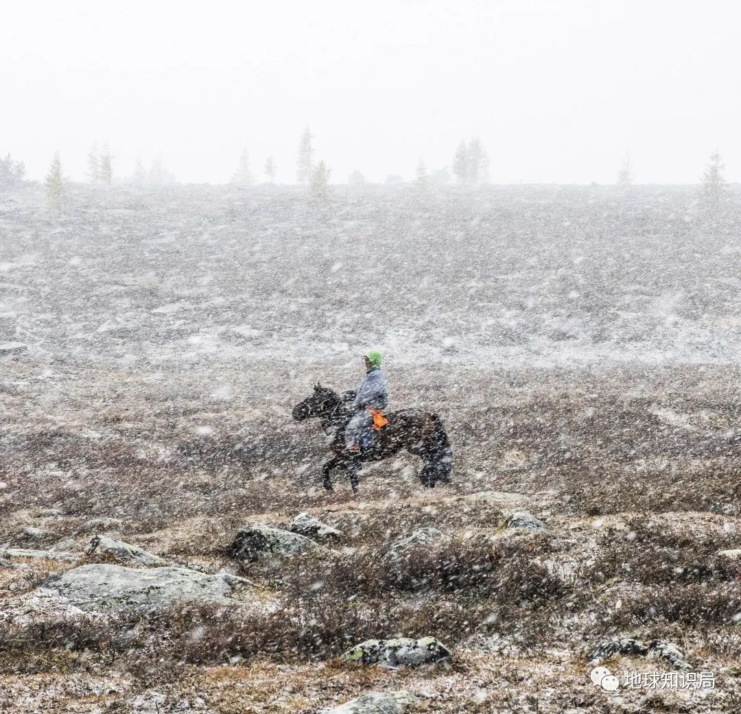 救命,我在内蒙古被吹飞了(最新发布)