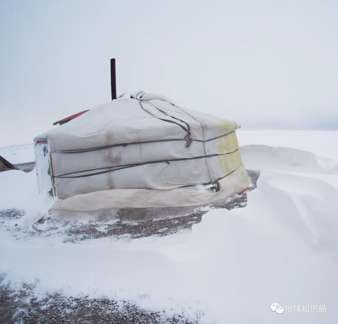 救命,我在内蒙古被吹飞了(最新发布)