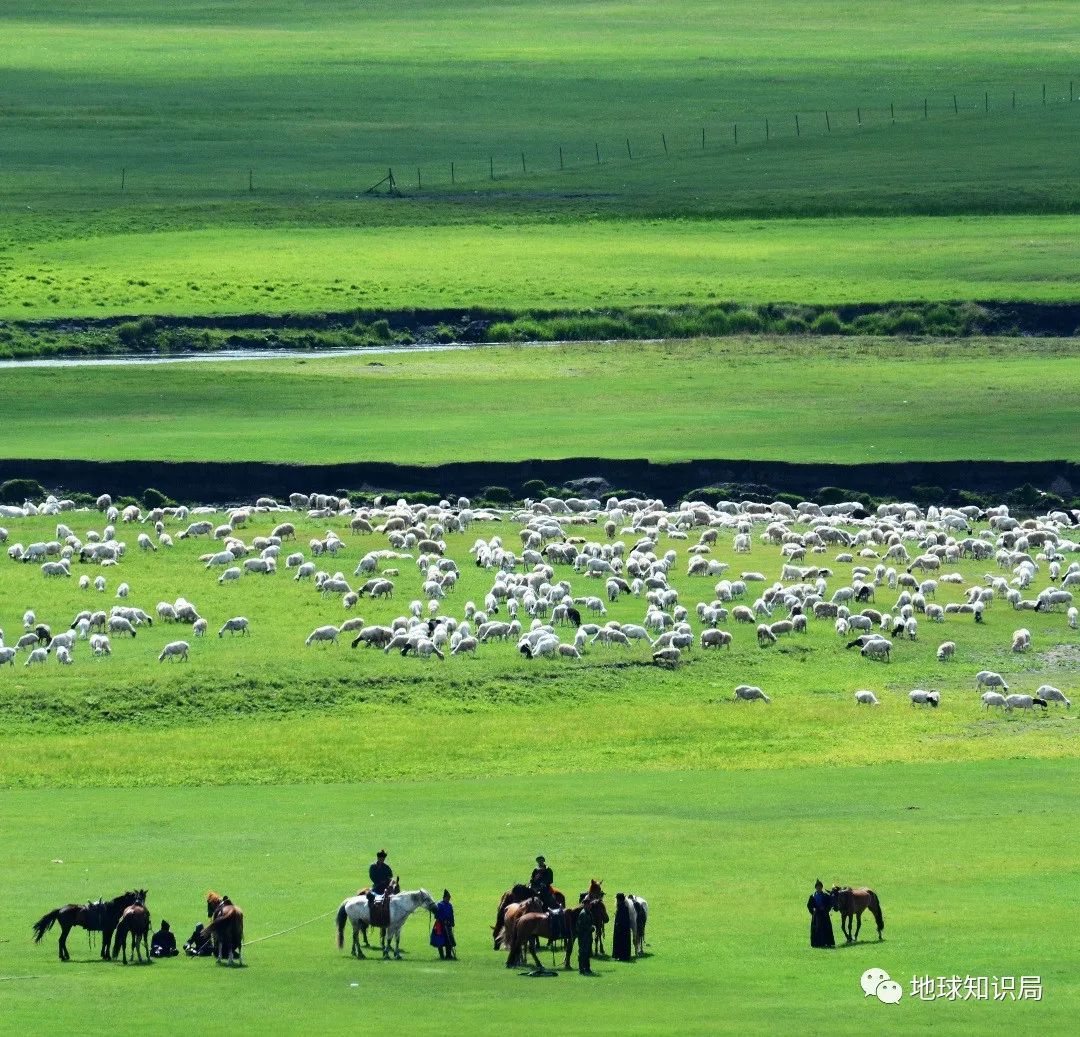 救命,我在内蒙古被吹飞了(最新发布)